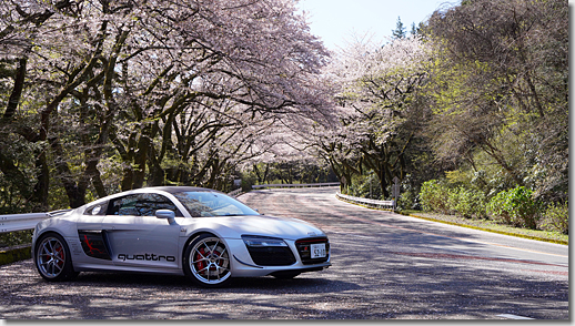 Audi R8 V10 5.2 FSI quattro, Cherry Blossom, Hakone Turnpike